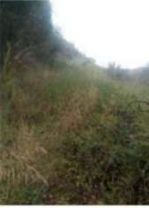 Foto Immobile in asta di 358 m con 3 locali in vendita a Cerzeto