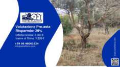 Foto Immobile in asta di 3606 m in vendita a Cinisi