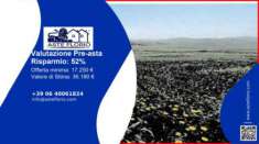 Foto Immobile in asta di 36180 m in vendita a Ravanusa