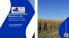 Foto Immobile in asta di 36788 m in vendita a Santa Maria la Longa