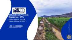 Foto Immobile in asta di 3700 m in vendita a Sezze