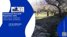 Foto Immobile in asta di 3750 m in vendita a Cerchiara di Calabria