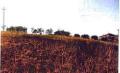 Foto Immobile in asta di 3825 m in vendita a Atri