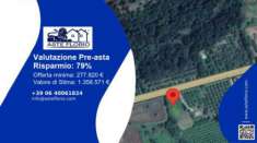 Foto Immobile in asta di 392 m con pi di 5 locali in vendita a Pitigliano