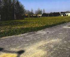 Foto Immobile in asta di 39200 m in vendita a Castel d'Ario