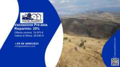 Foto Immobile in asta di 39664 m in vendita a Troina