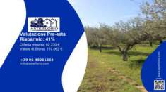 Foto Immobile in asta di 39853 m in vendita a Centuripe