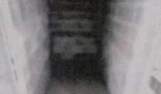 Foto Immobile in asta di 4 m con pi di 5 locali in vendita a Milano