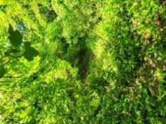 Foto Immobile in asta di 4 m in vendita a Olginate