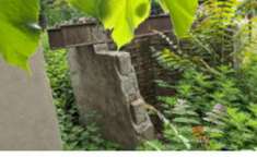 Foto Immobile in asta di 405 m, box auto in vendita a Spilamberto