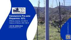 Foto Immobile in asta di 4205 m in vendita a Francavilla di Sicilia