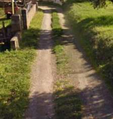 Foto Immobile in asta di 4410 m in vendita a San Lorenzo del Vallo