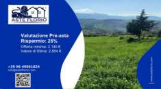 Foto Immobile in asta di 4530 m in vendita a Casalciprano