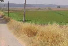 Foto Immobile in asta di 4570 m in vendita a Castelfranco di Sotto