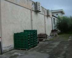 Foto Immobile in asta di 46 m in vendita a Pergola