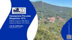 Foto Immobile in asta di 47082 m in vendita a Luras
