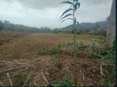Foto Immobile in asta di 472 m in vendita a Pontecorvo