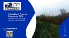 Foto Immobile in asta di 47800 m in vendita a Orte