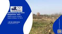 Foto Immobile in asta di 4950 m in vendita a Castel Sant'Elia