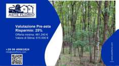 Foto Immobile in asta di 49520 m in vendita a Mantova