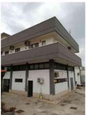 Foto Immobile in asta di 50 m con pi di 5 locali in vendita a Trani