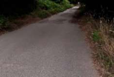 Foto Immobile in asta di 500 m in vendita a Serra San Bruno