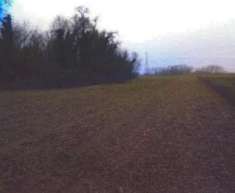 Foto Immobile in asta di 51000 m in vendita a Mesola