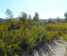 Foto Immobile in asta di 5280 m in vendita a Recanati