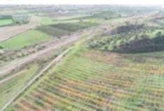 Foto Immobile in asta di 52903 m in vendita a San Lorenzo del Vallo