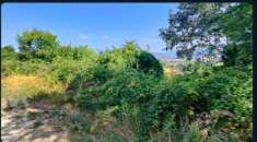 Foto Immobile in asta di 5380 m in vendita a Montefalco