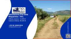 Foto Immobile in asta di 5649 m in vendita a Fondi