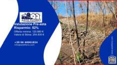 Foto Immobile in asta di 57175 m in vendita a Messina