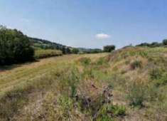 Foto Immobile in asta di 5815 m in vendita a Potenza Picena