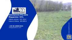 Foto Immobile in asta di 5963 m in vendita a Limone Piemonte