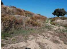 Foto Immobile in asta di 6240 m in vendita a Potenza Picena