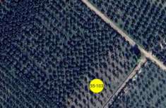 Foto Immobile in asta di 6300 m in vendita a Palo del Colle