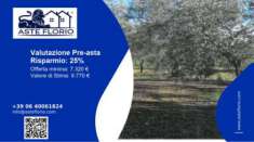 Foto Immobile in asta di 6513 m in vendita a Corato