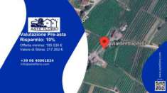 Foto Immobile in asta di 6685 m in vendita a Ala