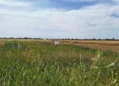 Foto Immobile in asta di 720 m in vendita a Casalnoceto