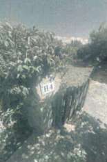 Foto Immobile in asta di 75 m in vendita a Palau