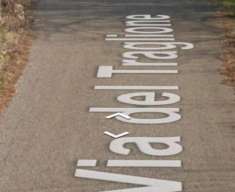 Foto Immobile in asta di 7910 m con pi di 5 locali in vendita a Gallicano nel Lazio