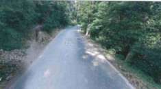 Foto Immobile in asta di 81020 m in vendita a Sesto Fiorentino