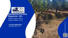 Foto Immobile in asta di 850 m in vendita a Sonnino