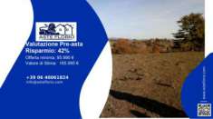 Foto Immobile in asta di 895 m con pi� di 5 locali in vendita a Viterbo