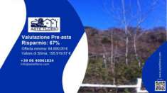 Foto Immobile in asta di 89600 m in vendita a Bolsena
