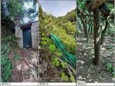 Foto IMMOBILI-ALTRA CATEGORIA--