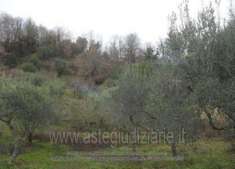 Foto IMMOBILI-ALTRA CATEGORIA- localit  bosco lammardo