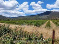 Foto IMMOBILI-ALTRA CATEGORIA-09043 muravera su, italia