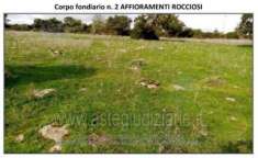 Foto IMMOBILI-ALTRA CATEGORIA-09074 ghilarza or, italia