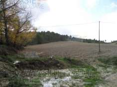 Foto IMMOBILI-ALTRA CATEGORIA-95040 licodia eubea ct, italia